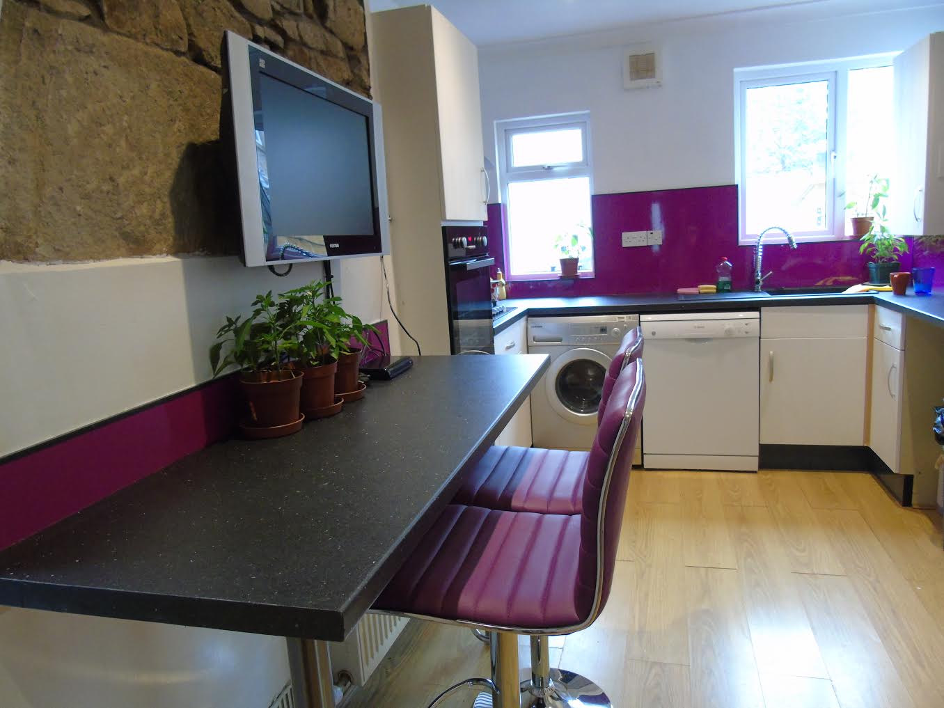 Home 3 Regent kitchen 2 Red Frog Lets 2025